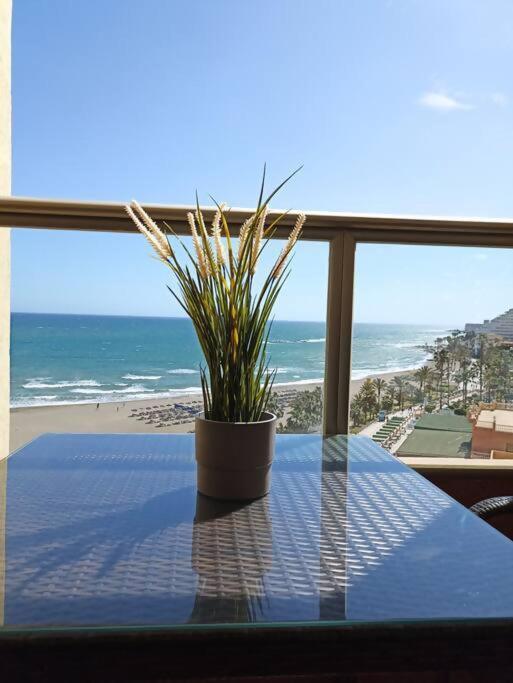 בנאלמדנה Estudio Miramarprimera Linea Playa Amazing Views מראה חיצוני תמונה
