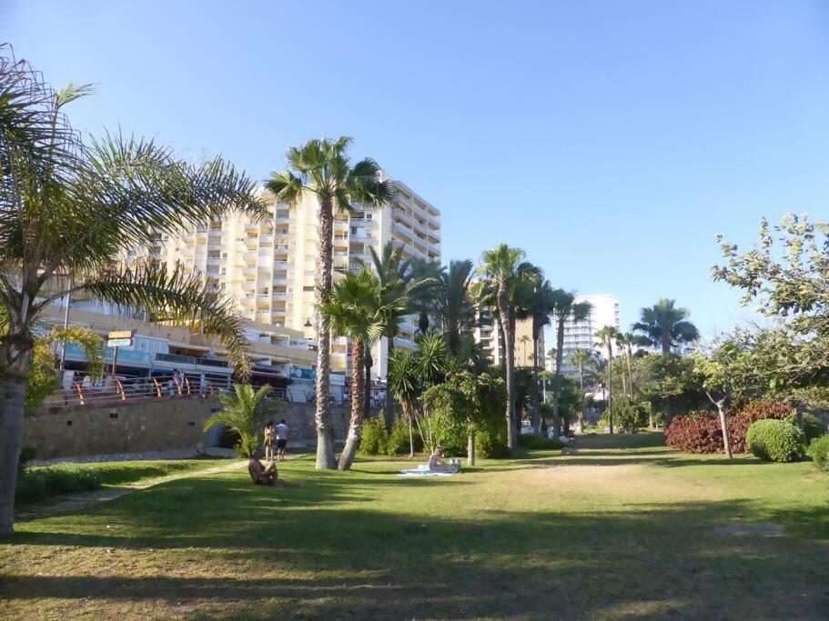 בנאלמדנה Estudio Miramarprimera Linea Playa Amazing Views מראה חיצוני תמונה